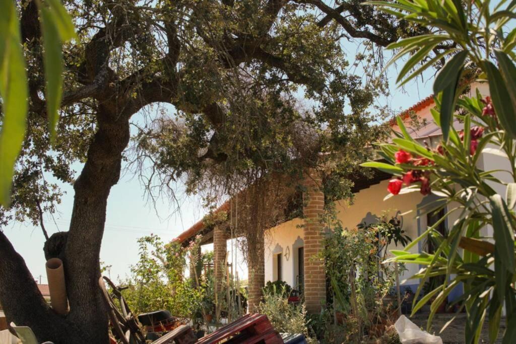 Villa Aproveite O Sabor Do Alentejo à Vila Verde de Ficalho Extérieur photo