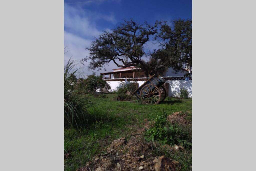 Villa Aproveite O Sabor Do Alentejo à Vila Verde de Ficalho Extérieur photo