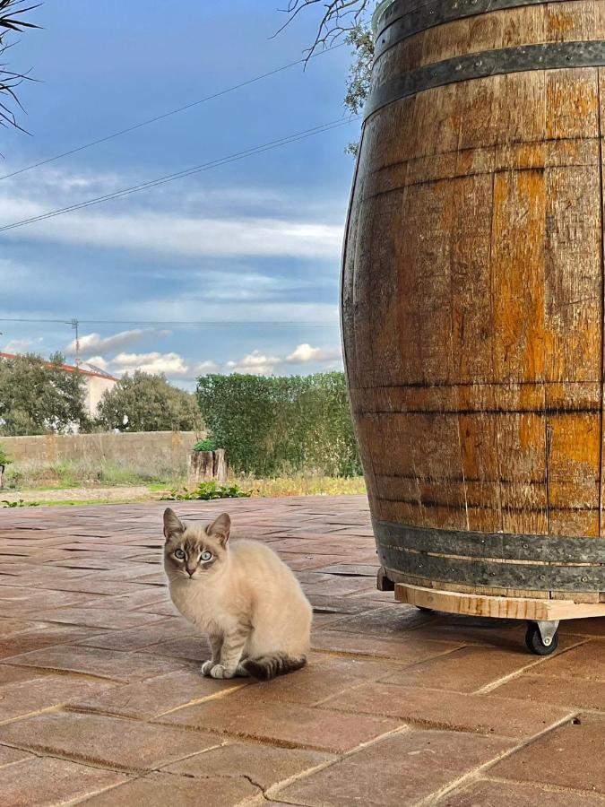 Villa Aproveite O Sabor Do Alentejo à Vila Verde de Ficalho Extérieur photo